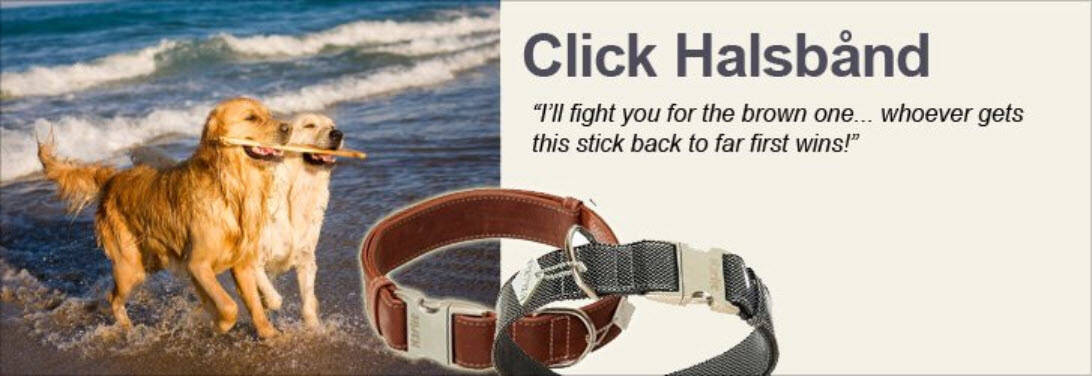 Hunde 'Click' Halsbånd Kategori - Hundetilbehør Webshop Optimering