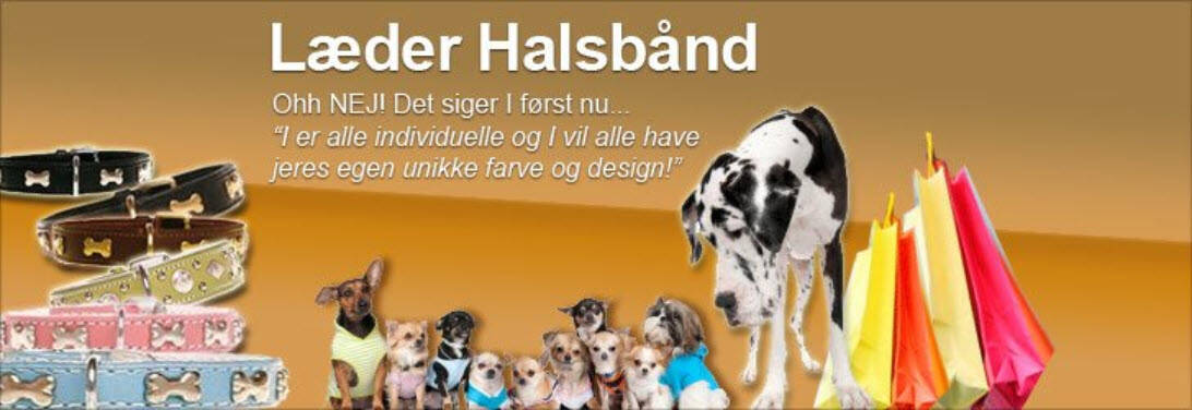 Hunde Læder Halsbånd Kategori - Hundetilbehør Webshop Optimering