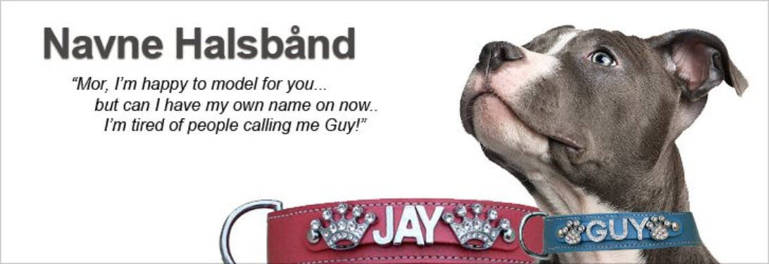 Hunde Navne Halsbånd Kategori Webshop Optimering