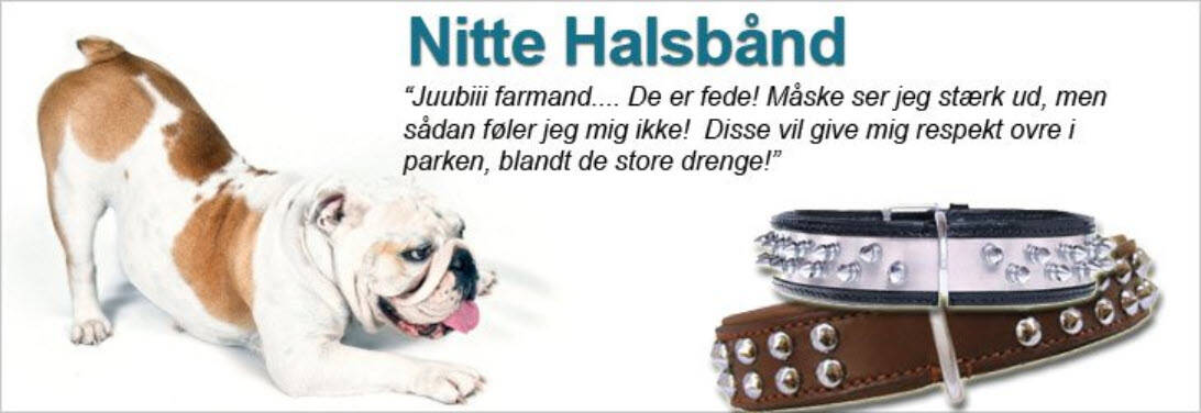 Nitte Hunde Halsbånd Kategori Webshop Optimering
