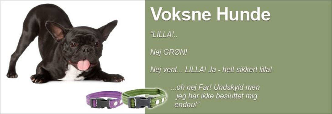 Voksne Hunde Kategori Webshop Optimering
