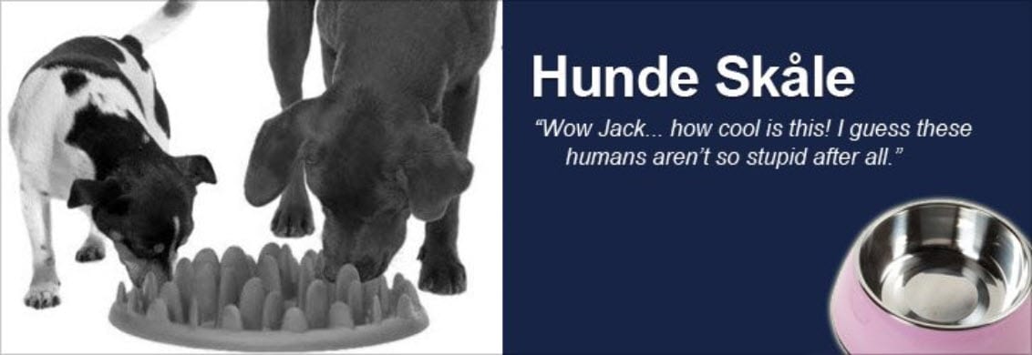 Hunde Skåle Kategori Webshop Optimering