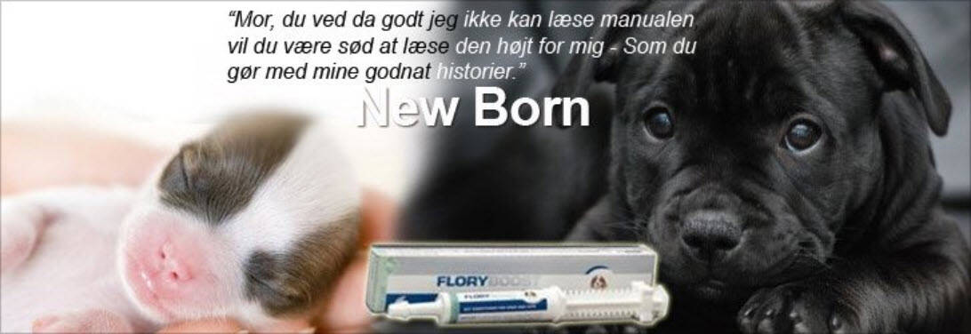 Hunde New Born Kategori Webshop Optimering