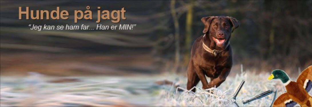 Hunde På Jagt Kategori Webshop Optimering
