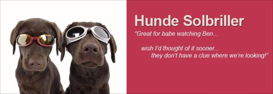 Hunde Solbriller Kategori Webshop Optimering