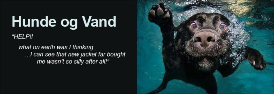 Hunde Og Vand Kategori Webshop Optimering
