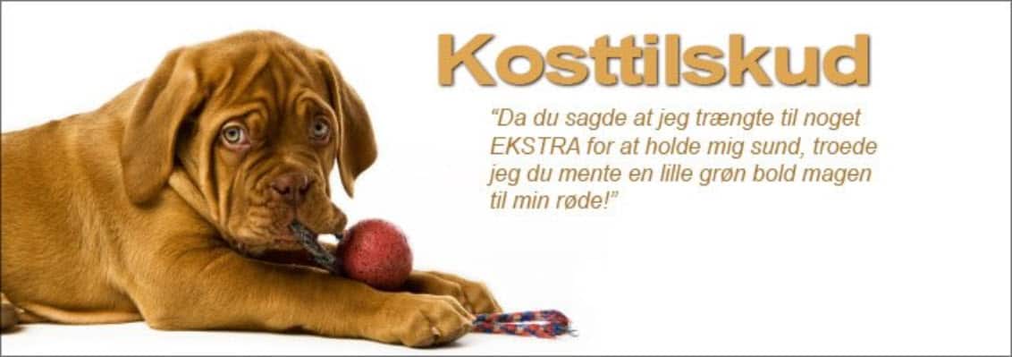 Hunde Kosttilskud Kategori Webshop Optimering