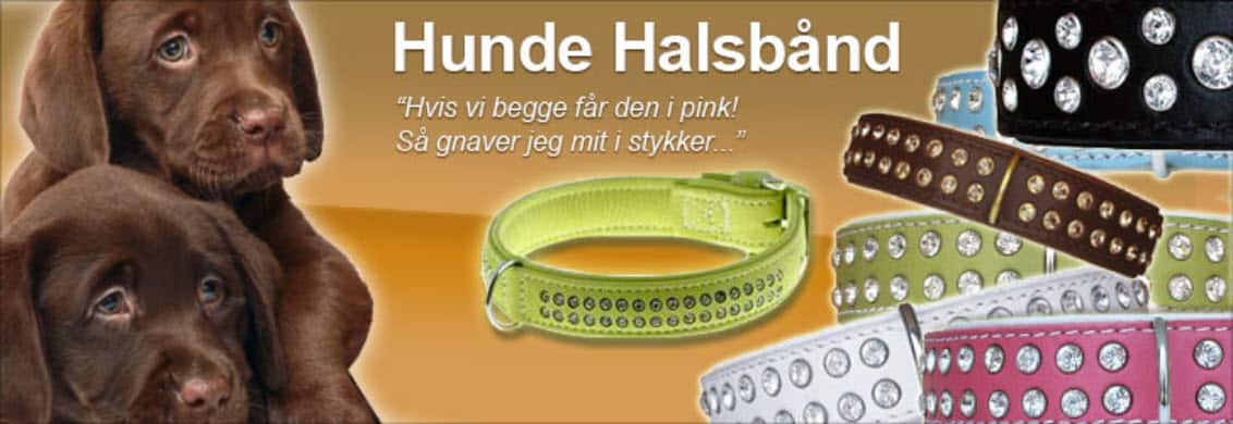 Hunde Halsbånd Kategori - Hundetilbehør Webshop Optimering