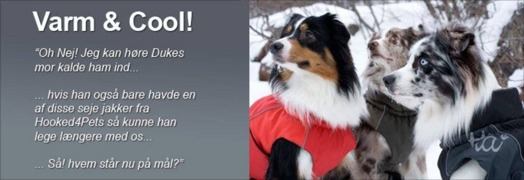 Hundetøj Kategori - Hundetilbehør Webshop Optimering